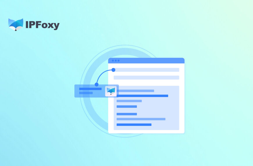 什么是纯净IP? 如何判断IP地址的纯净度？有哪些干净IP推…