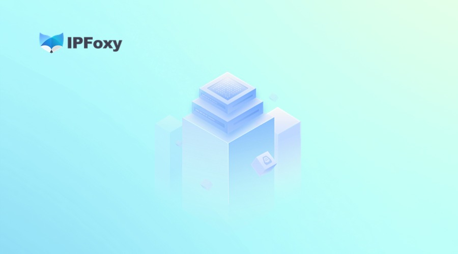 静态住宅IP or 静态机房IP:哪种IP更能满足你的业务需求?