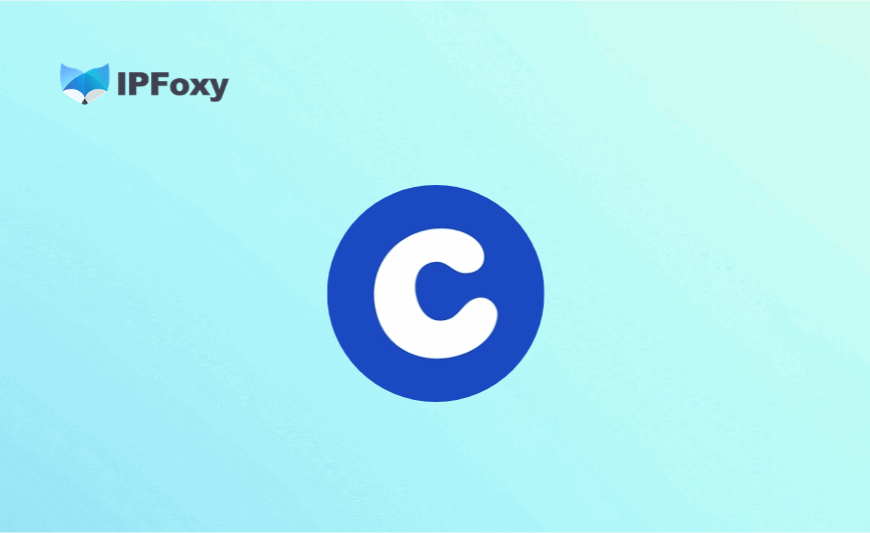 北美头部宠物电商Chewy，新手保姆级打爆款攻略！